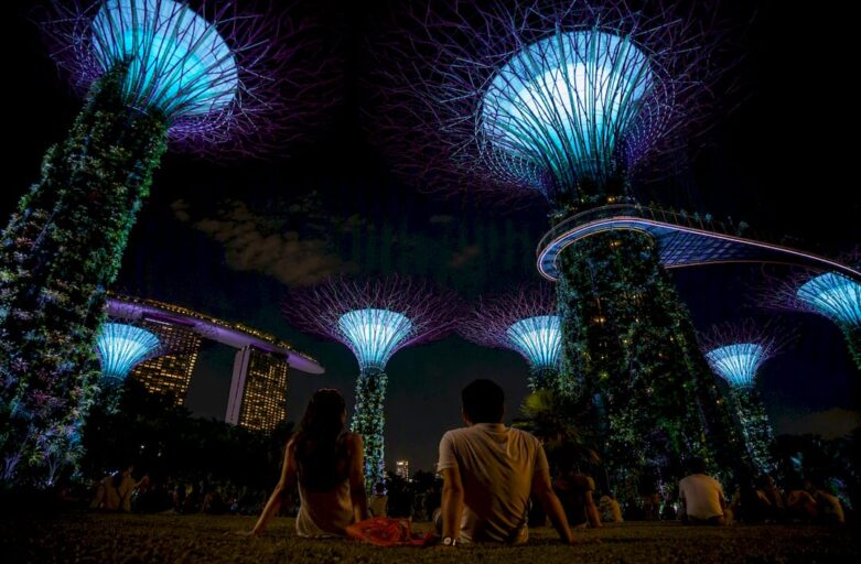 Garden Rhapsody lights among Singapore Supertrees