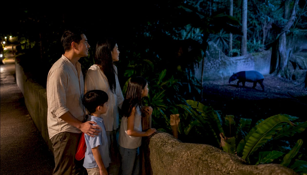 Family viewing wildlife on night trail