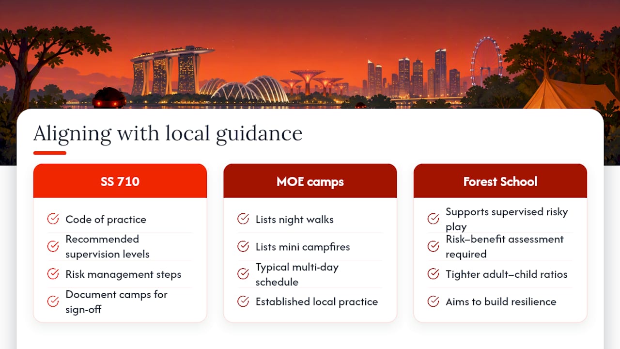 5. Aligning your programme with Singapore standards and expert guidance — overview diagram